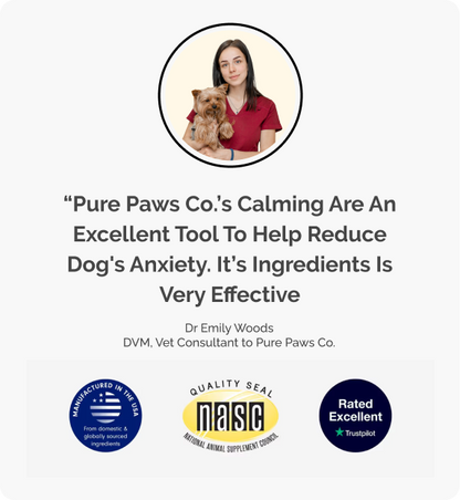 FREE GIFT: Joint Care Chews from PurePaws