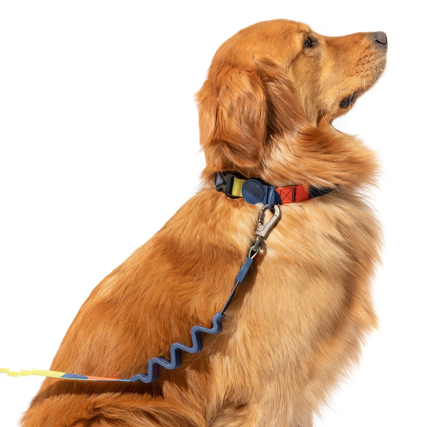 The ZigZag™ Durable Shock Absorbing Leash