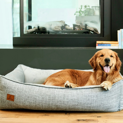 The Buddy Bed - Veterinarian Approved Dog Bed